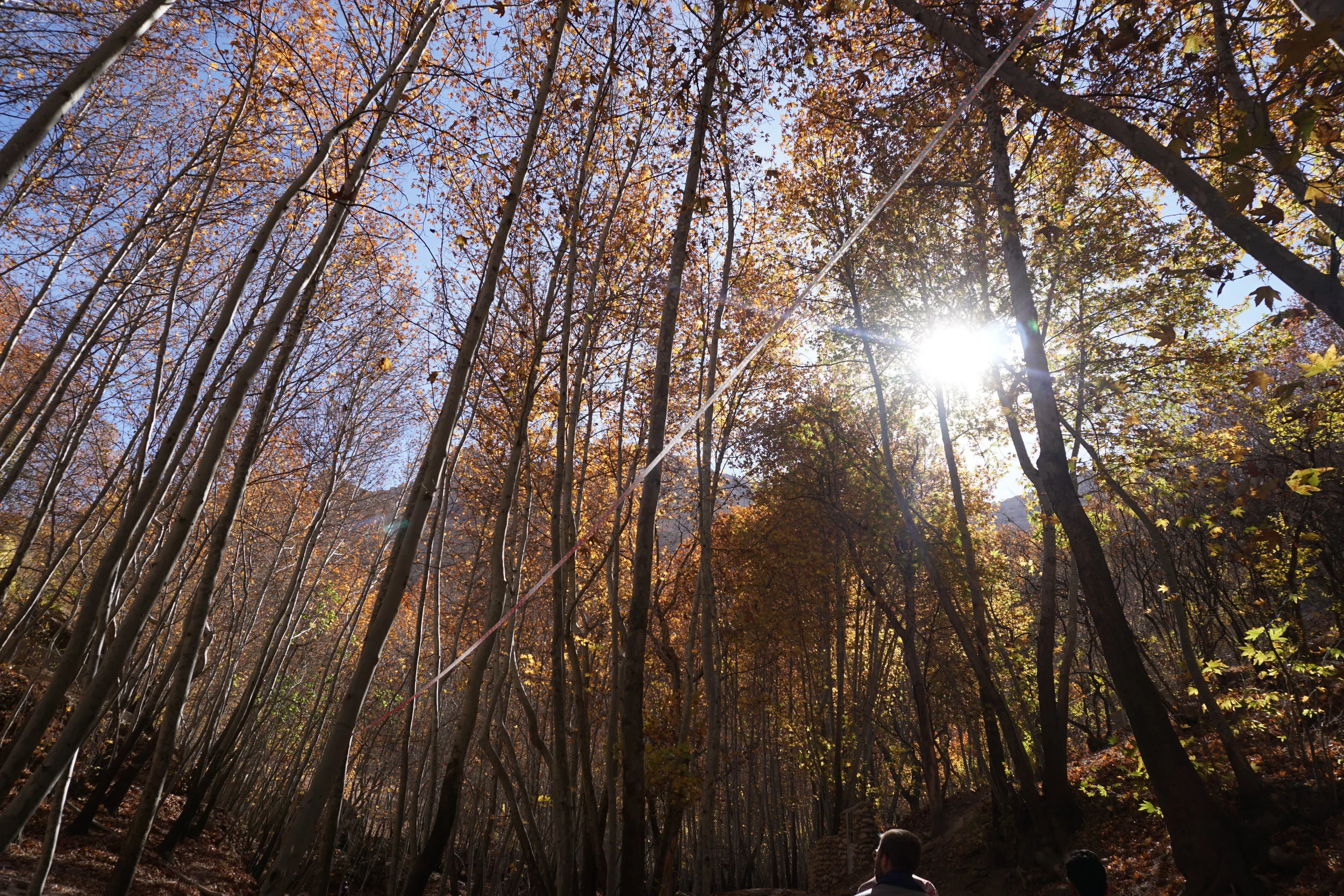 The trees in Iran are quite special and Iranians love spending time among these magical forests in Autumn.