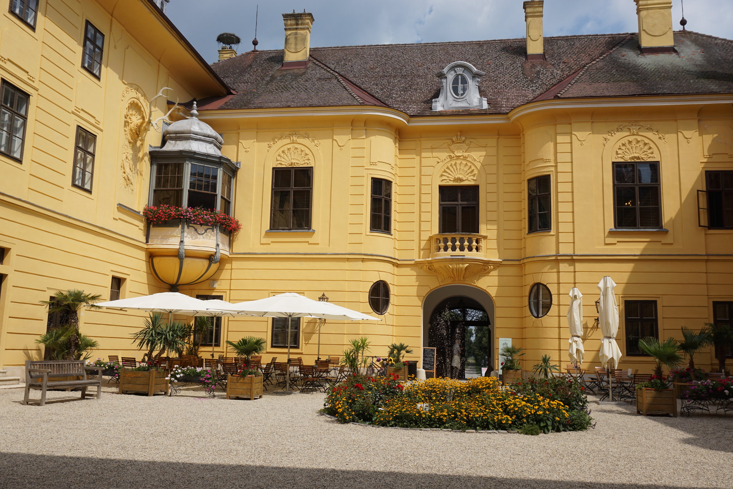 Coffee, cake and dreams of holding a beautiful celebration here some day.
