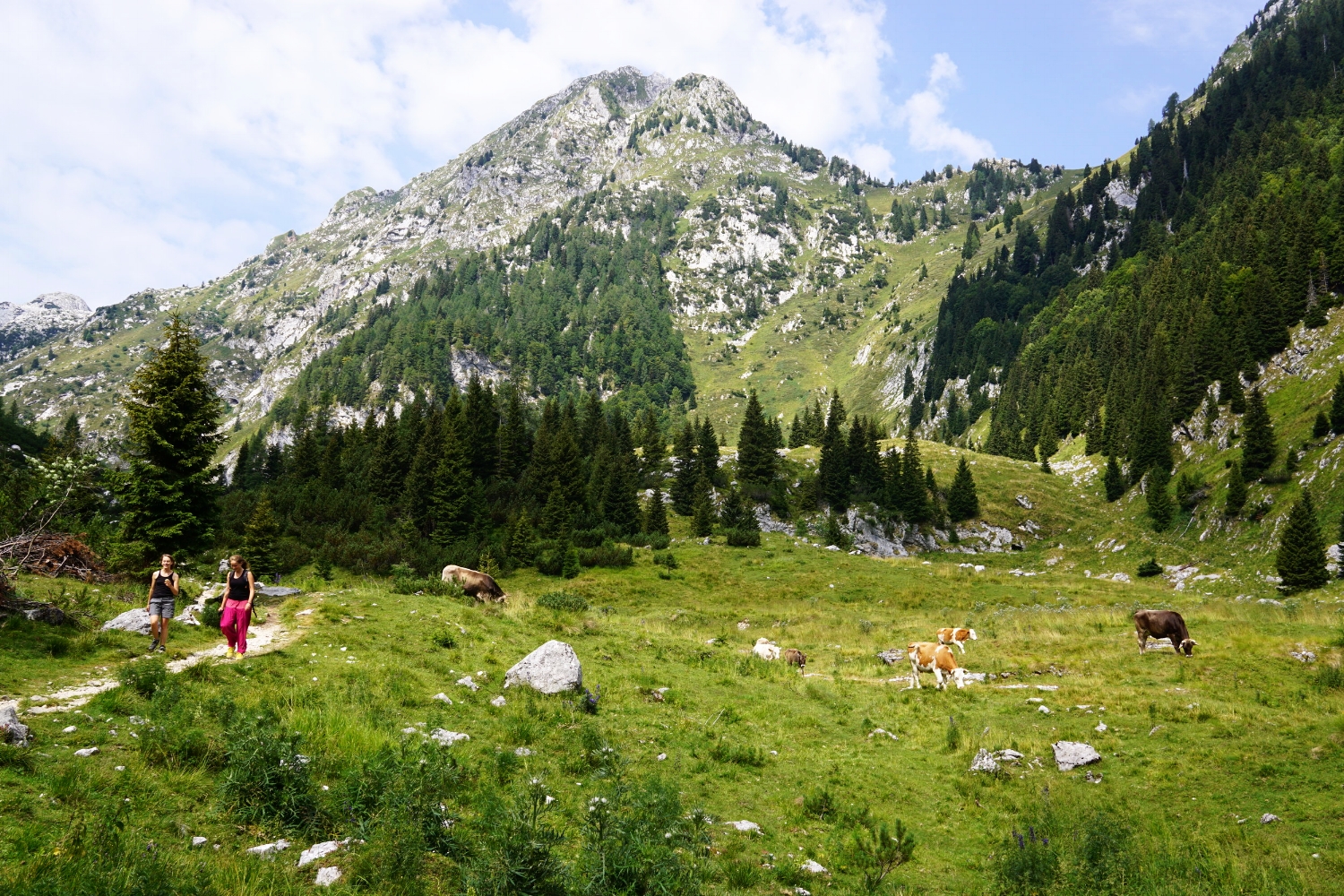 Stunning open meadows while on our way to the Krsnko Jezero Lake