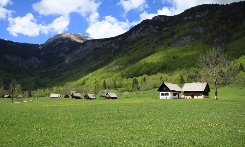 Small wooden cottages in a green paradise. Source: Bohinj.si