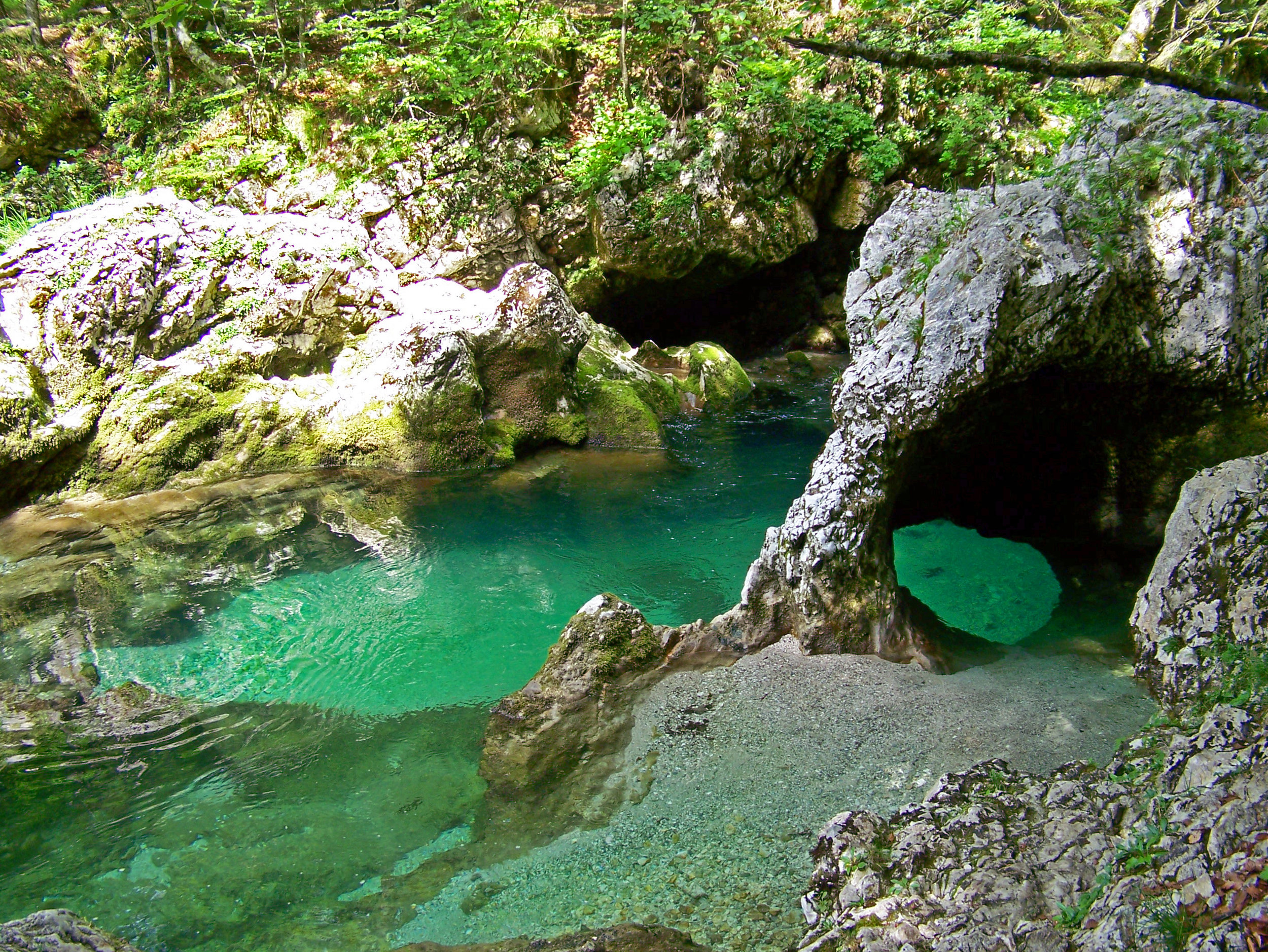 Source: Wikimedia commons