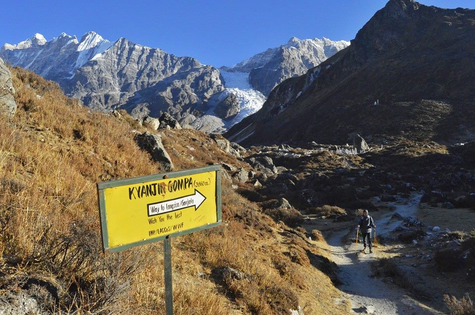 On the way to kyangjin gompa. Pic credits: Bikram karki