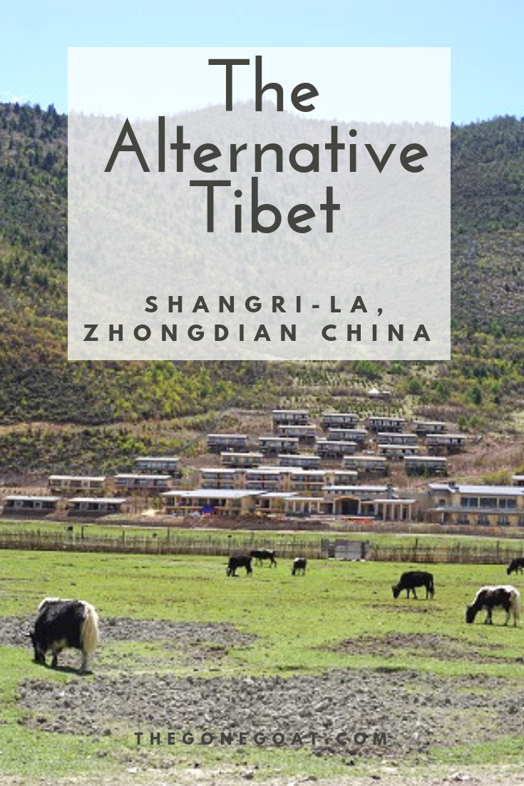 The town that still promises of nirvana and a great alternative to Tibet: Shangri-La, Zhongdian in China. The Land of Lost Horizon is a place to get off-the-beaten path in China, Yunnan and find your ‘zen’. #Travel #Asia #China #TravelDestinations #AsiaTravel #SlowTravel #OffBeatTravel #UnusualDestinations #ShangriLa #Yunnan