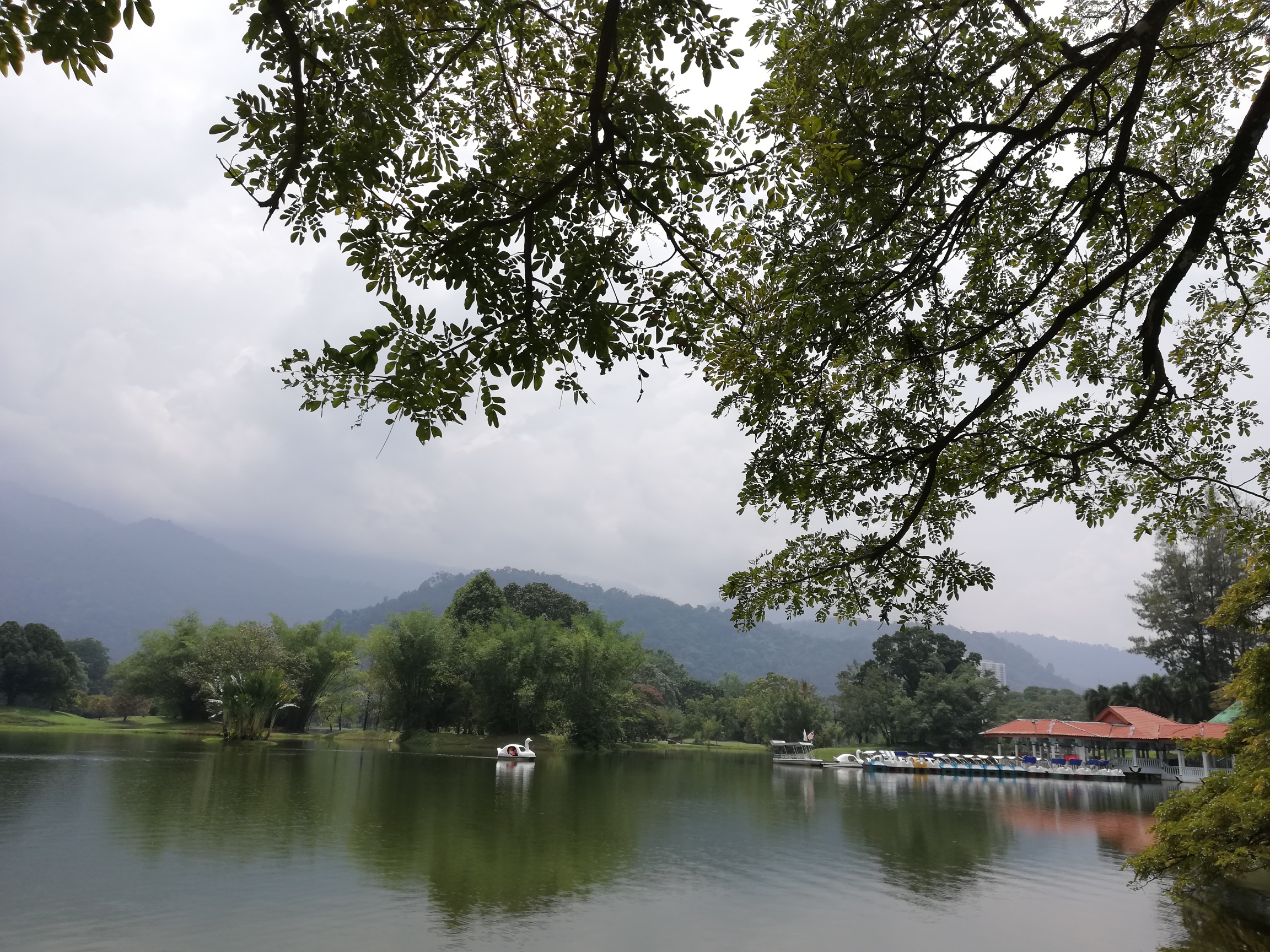 Taiping-Lake-Garden-Malaysia-Itinerary.jpg