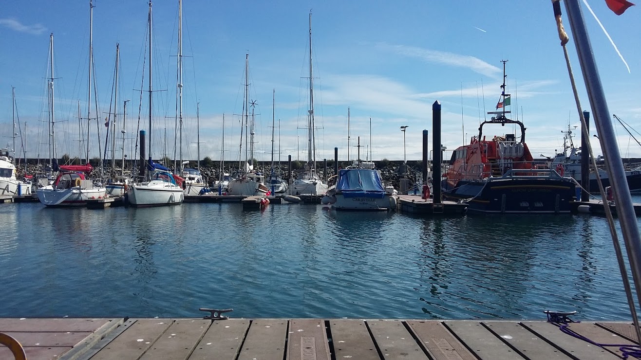 The Saltee islands is the perfect place for a warm summer's day in Ireland.