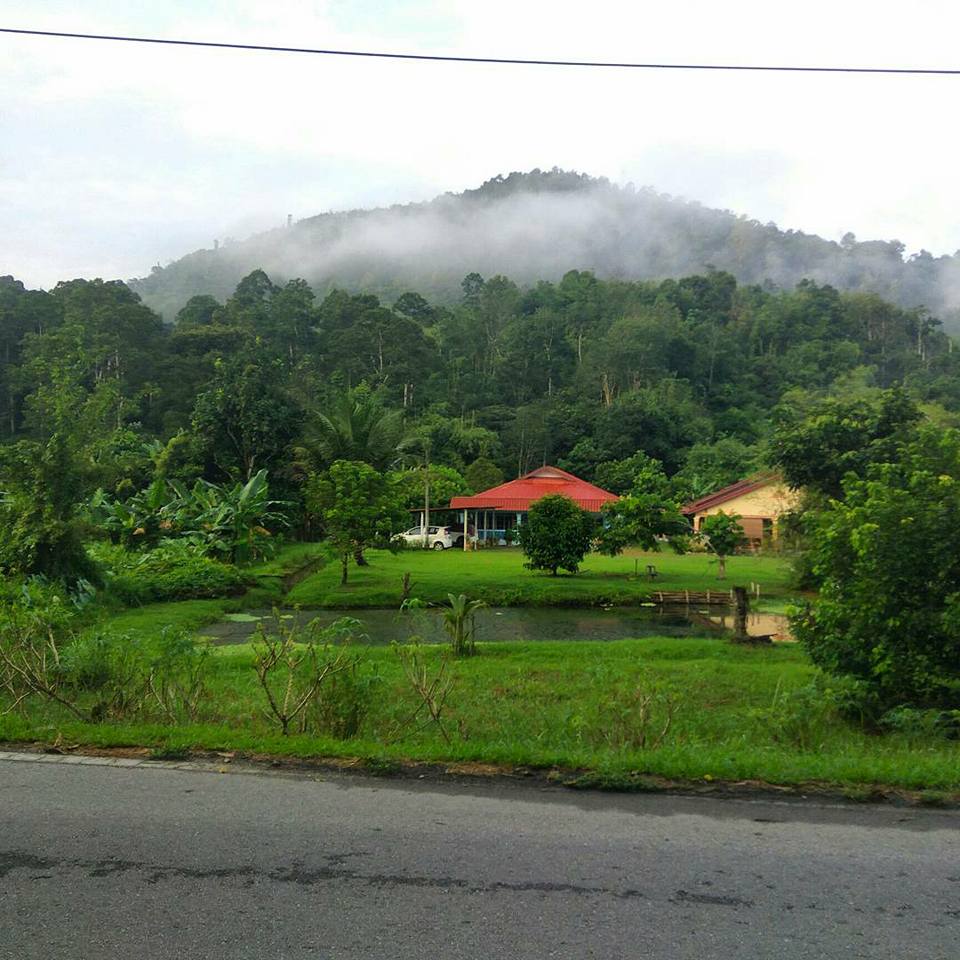 The heat and humidity can wear you off in kuala lumpur but just an hour away you’ll experience cool rainforest estates