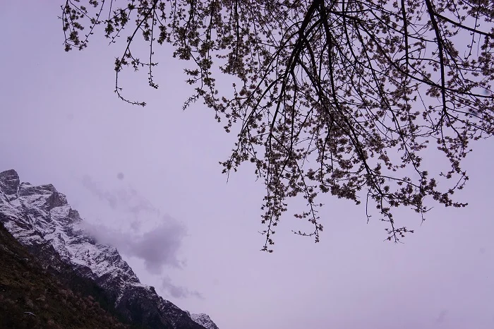 the end of winter and start of spring in sangla village.