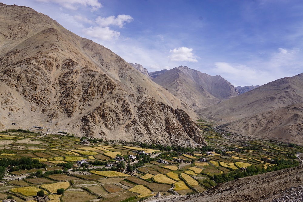 Little specs of green in a dry moonscape land in Ladakh on a road trip.