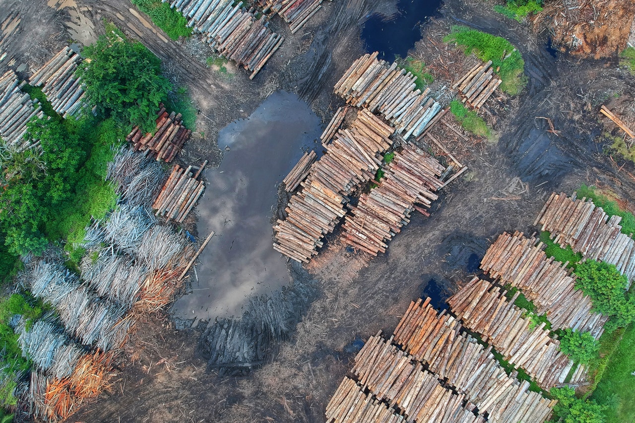 What’s the point of development when we can’t safeguard our forests?