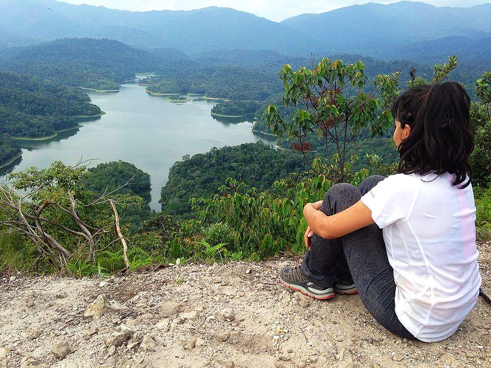 What’s Happening to the Rainforests in Malaysia: Deforestation and Disconnection?