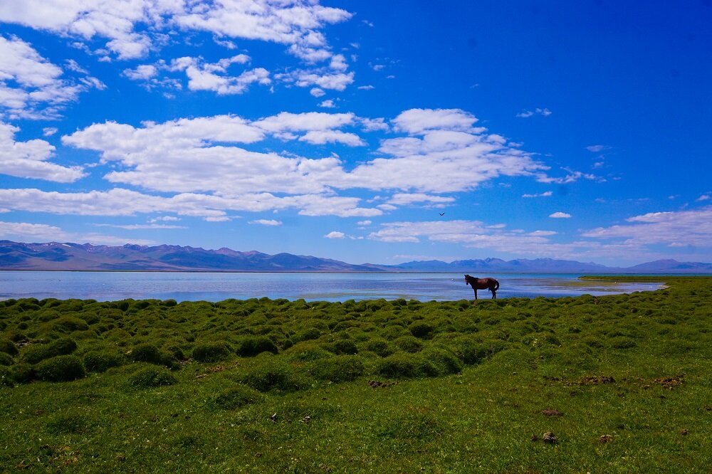 The beauty of remote landscapes in Kyrgyzstan. Shot in Song Kul lake.