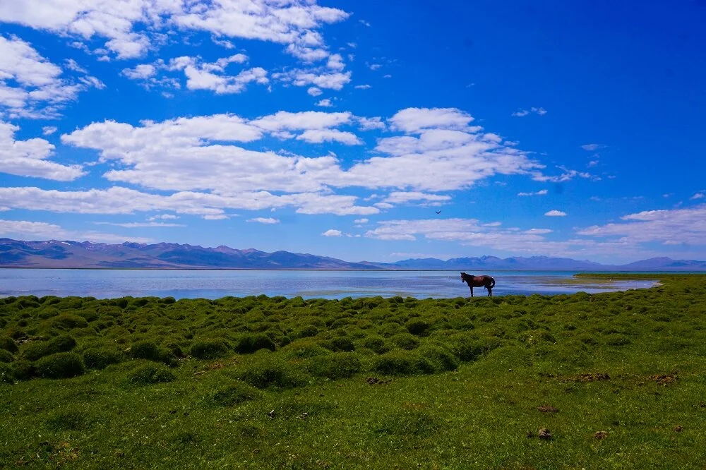 The Jewel of Kyrgyzstan, the Song Kul Lake