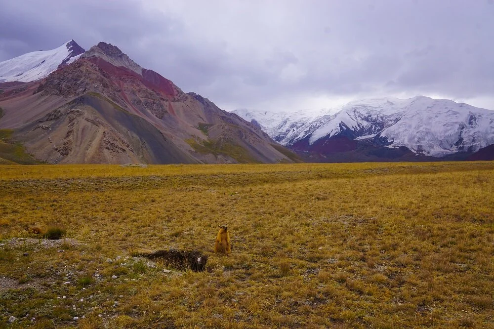 It was nice to trek independently and join others while hiking in Kyrgyzstan.