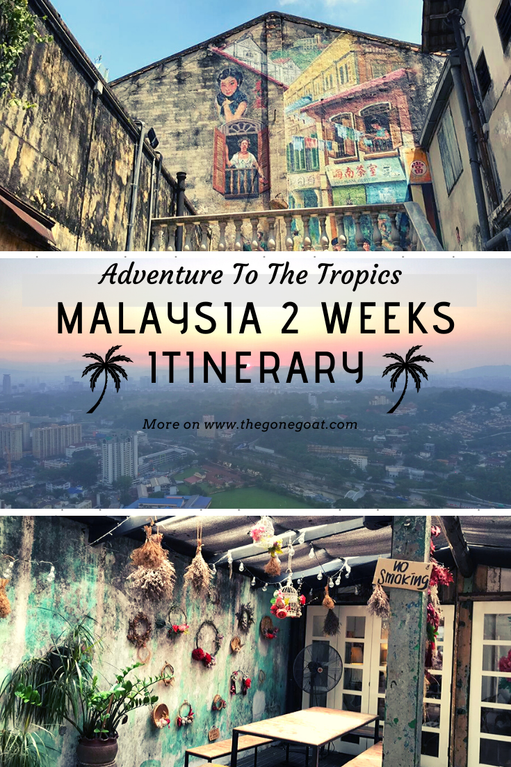 When you’re craving for that little adventure in the tropics, Malaysia has it all. Here’s a 2 week itinerary of what to do, what to see and where to stay in Malaysia, a country filled with diversity and contrasts. #Asia #Malaysia #TravelDestinations #SoloDestinations #Travel #MalaysiaItinerary #KualaLumpur