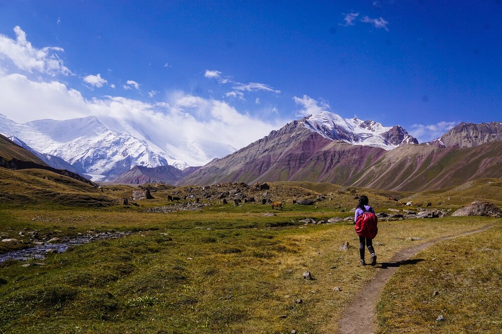I had the whole place to myself. Wilflowers, cattle, mountains and endless trails enroute to Lenin Peak Base Camp.