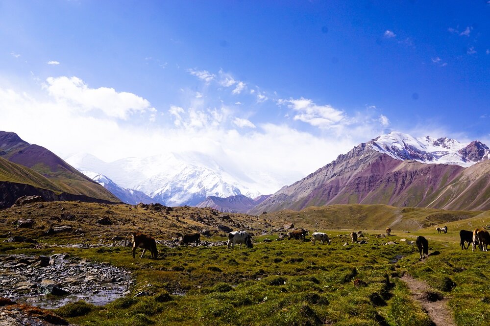 How stunningly beautiful is this place?