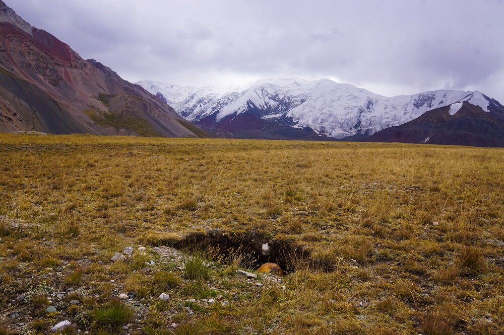 The trail continued up a grassy valley teeming with marmot burrows.