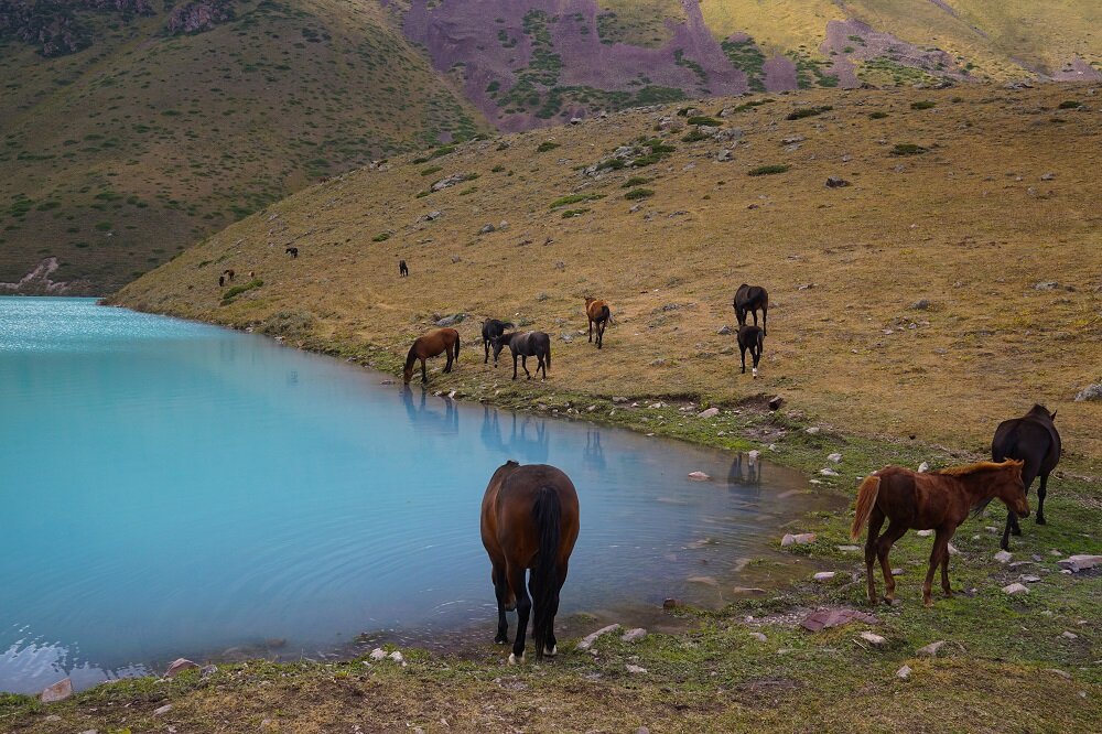 I could easily believe that I’ve landed into this kind of utopia at Kol-Tor Lake.
