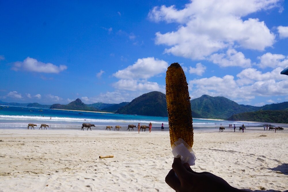 this was all that i was dreaming of - corn and beaches!