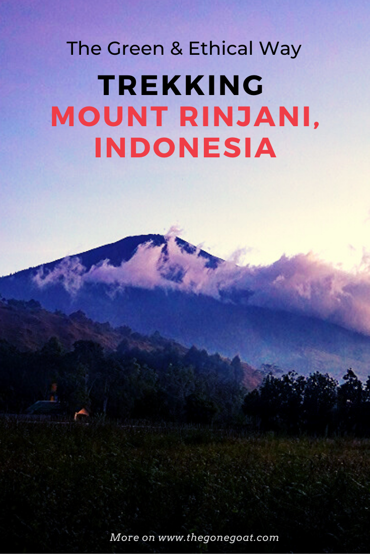 Trekking Mount Rinjani ethically was important after the earthquake and trash situation in Indonesia! Here’s a travel guide on how my curiosity beckoned me to hike Mt. Rinjani, the second highest volcano in Indonesia despite its difficult terrain. #hikingtrails #indonesia #mountrinjani #asia #travelideas #traveldestinations #asiatravel #hikingasia #adventuretravel #volcanohiking