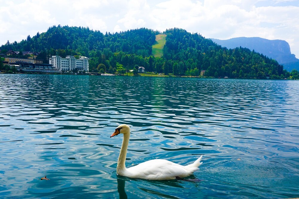 Imagine staying near the shores of lake bled