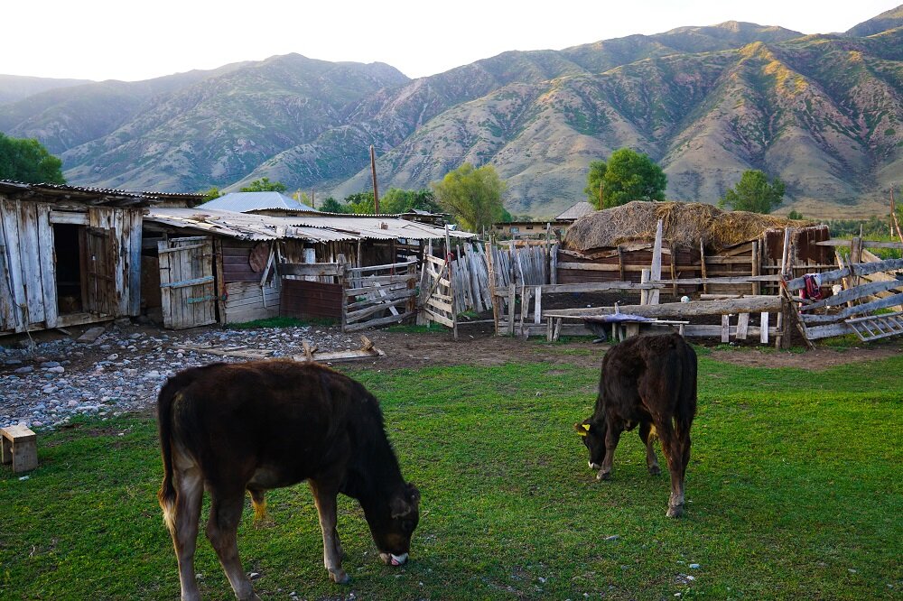 Staying in a homestay in saty