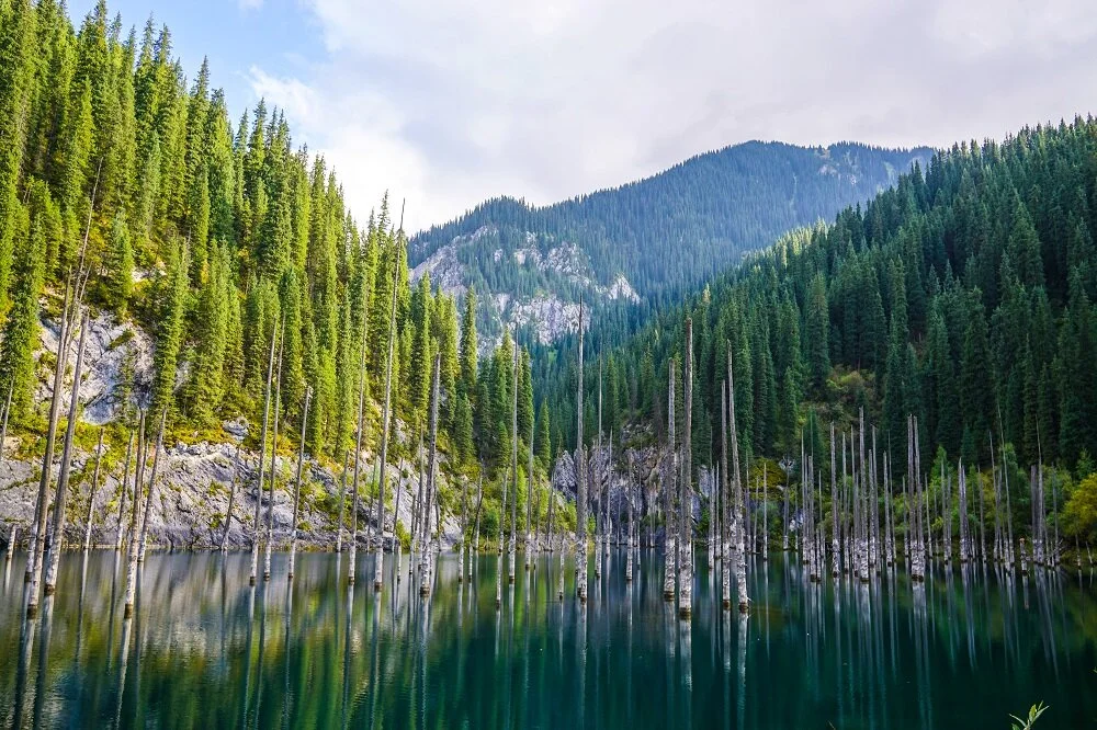 Kazakhstan-Sunken-Lake-Forest-Kaindy-Lake.jpg