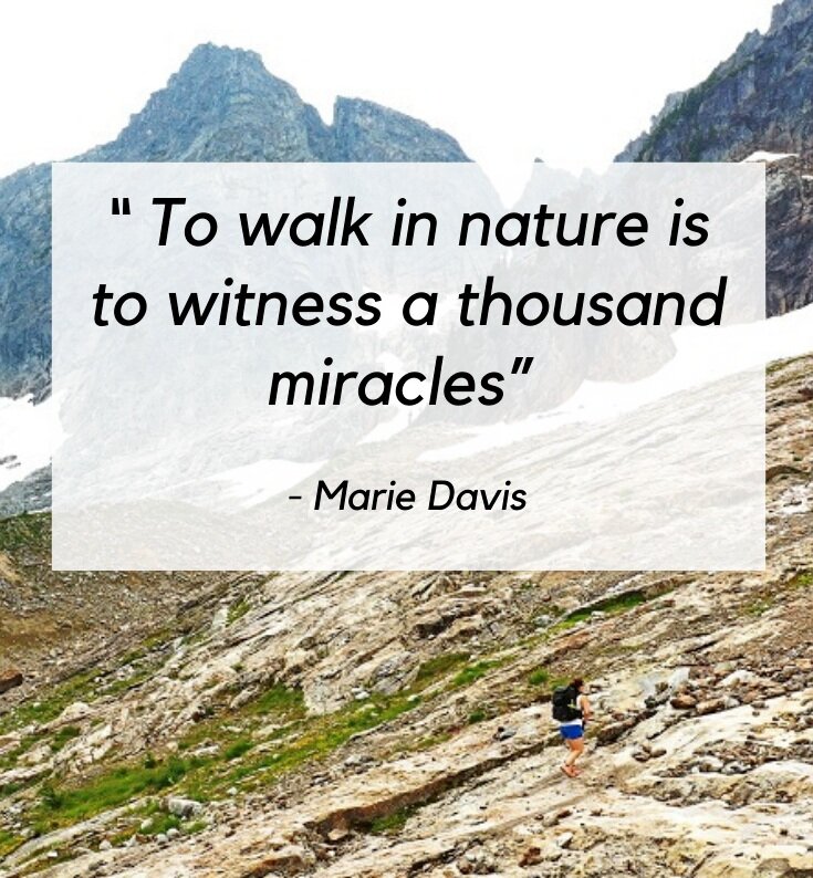 27 Hiking Quotes From Inspiring & Outdoorsy Storytellers The Gone
