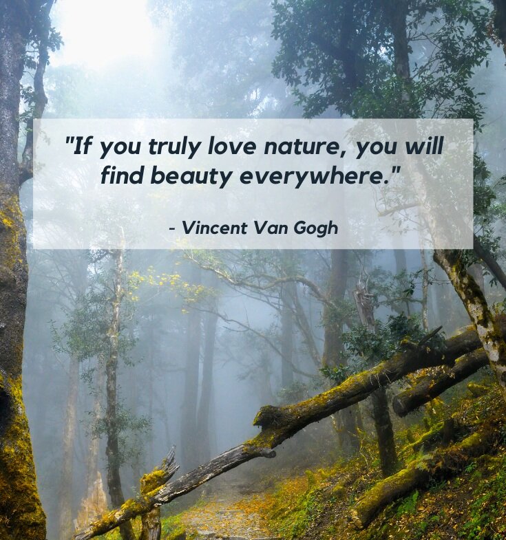 25 Inspirational Hiking Quotes - Best Sayings About Walking in Nature