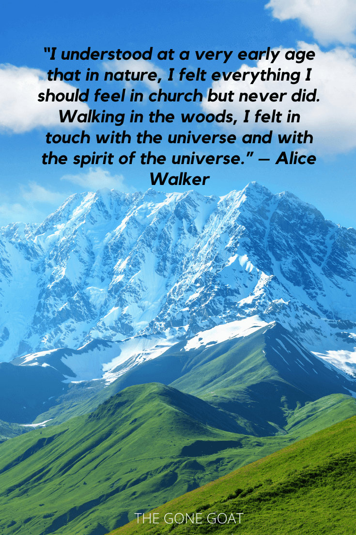 60 Best Wild Mountain Quotes & Captions To Get Outside — The Gone Goat