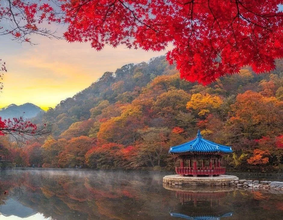 Best Day Trips from Seoul: From Autumn Trees To Unique Adventures