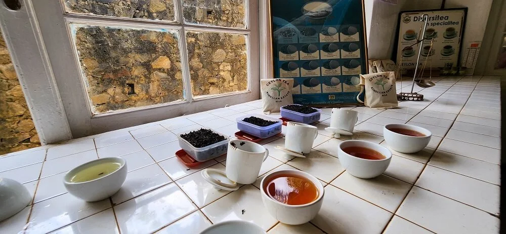 Famous Tea Factory the best tea factory in ella to visit