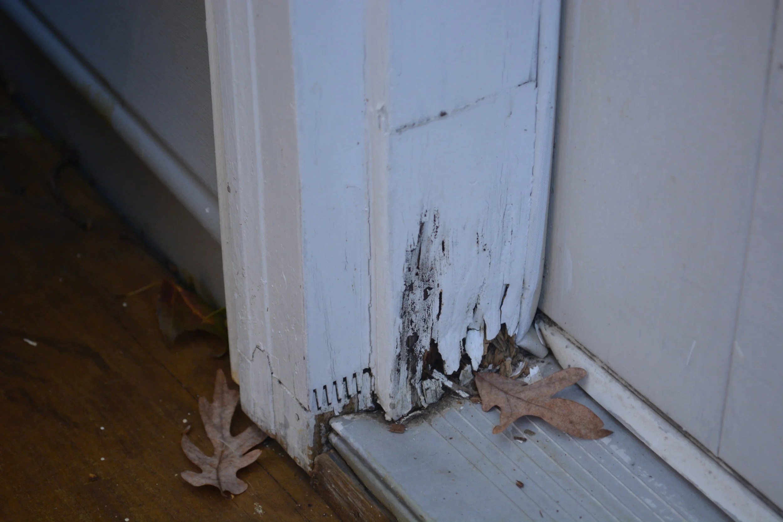  Decay at lower sections of exterior door indicates long term water penetration that could involve hidden areas of damage to surrounding components.   