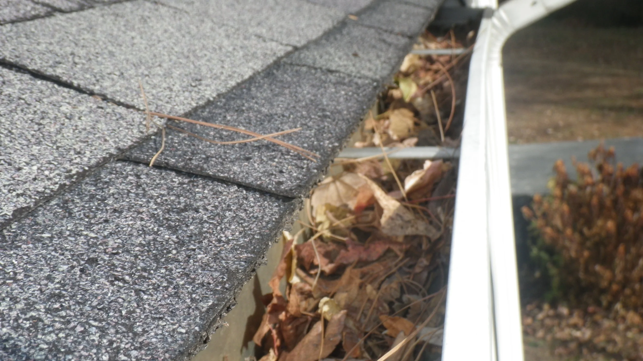 Clogged Gutters