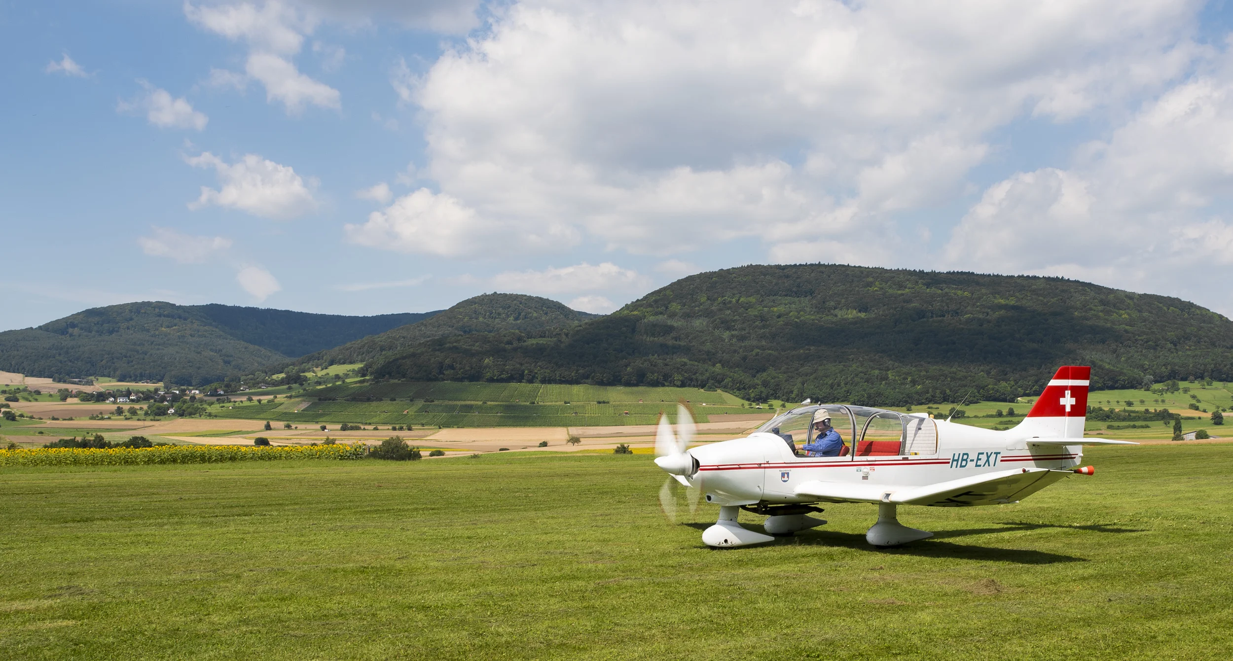 RobinDR400-9046.jpg