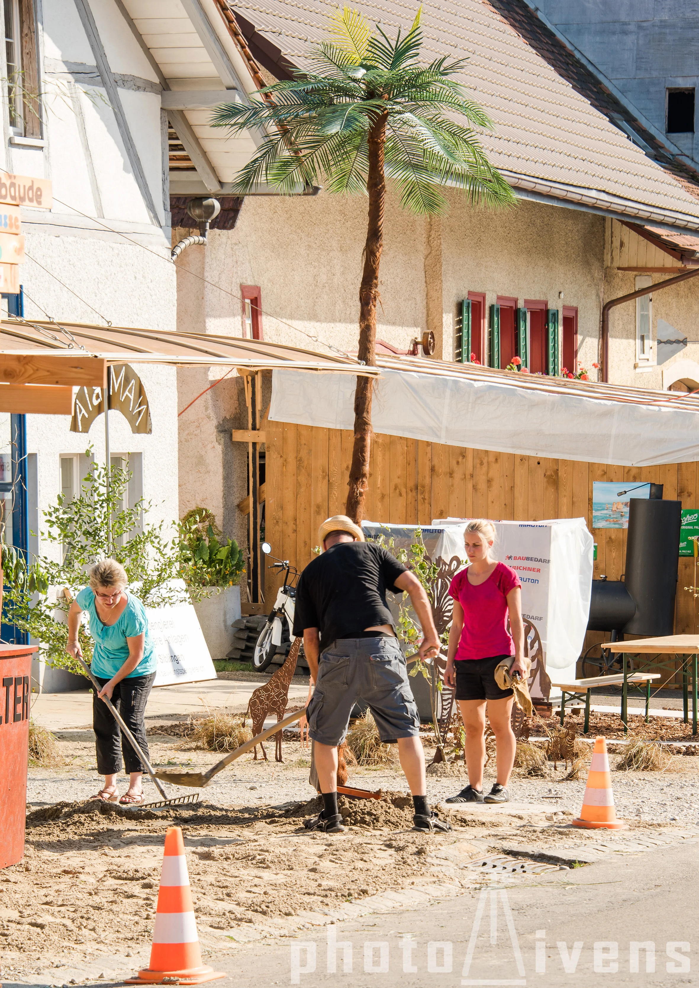 Palmenpflanzen bei Weinbau Walter