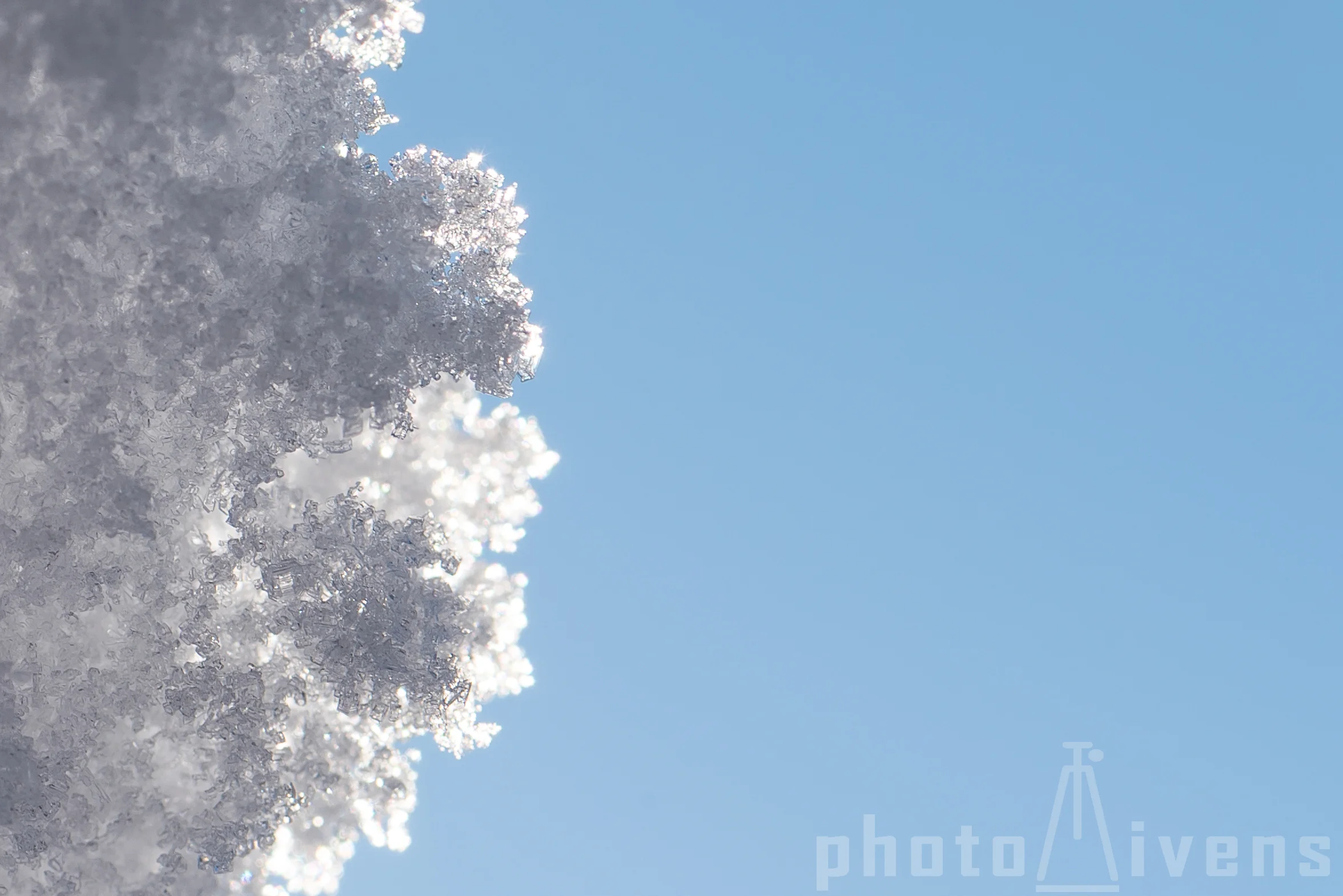 Schneekristalle im Gegenlicht