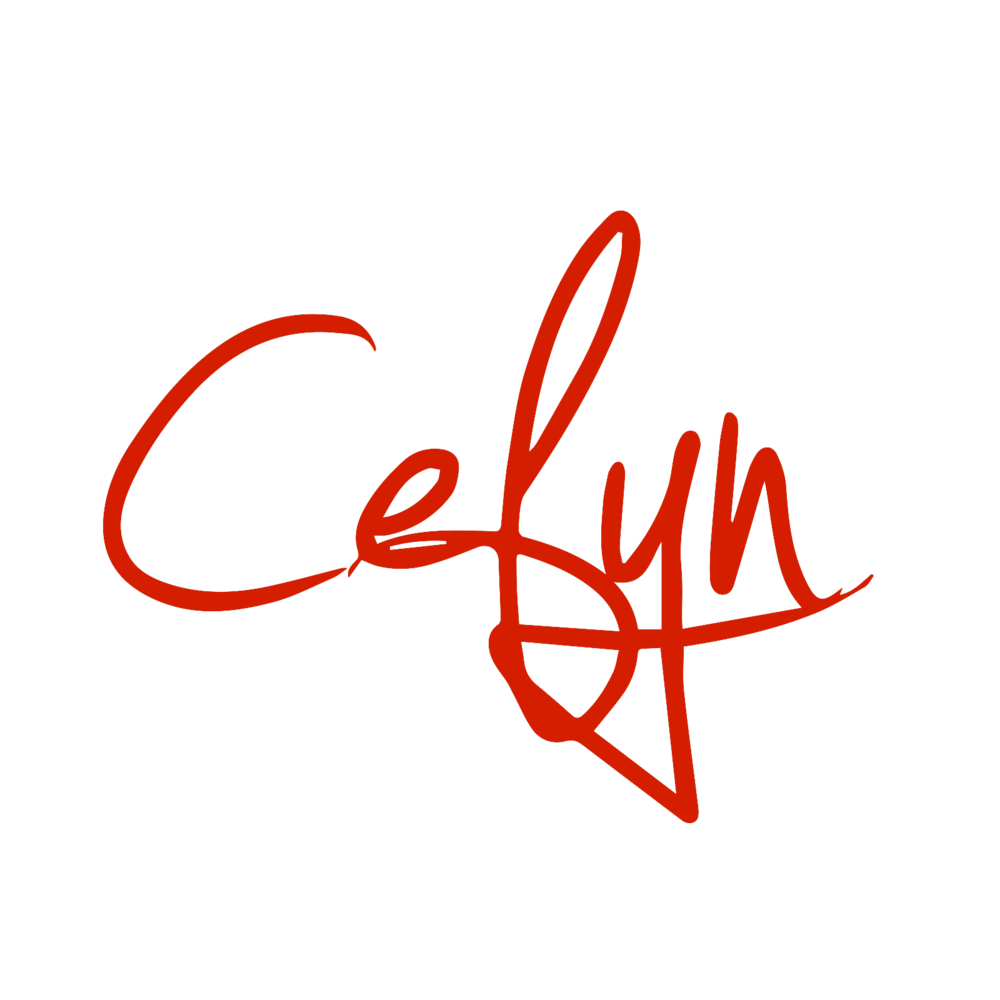 Cefyn burgess