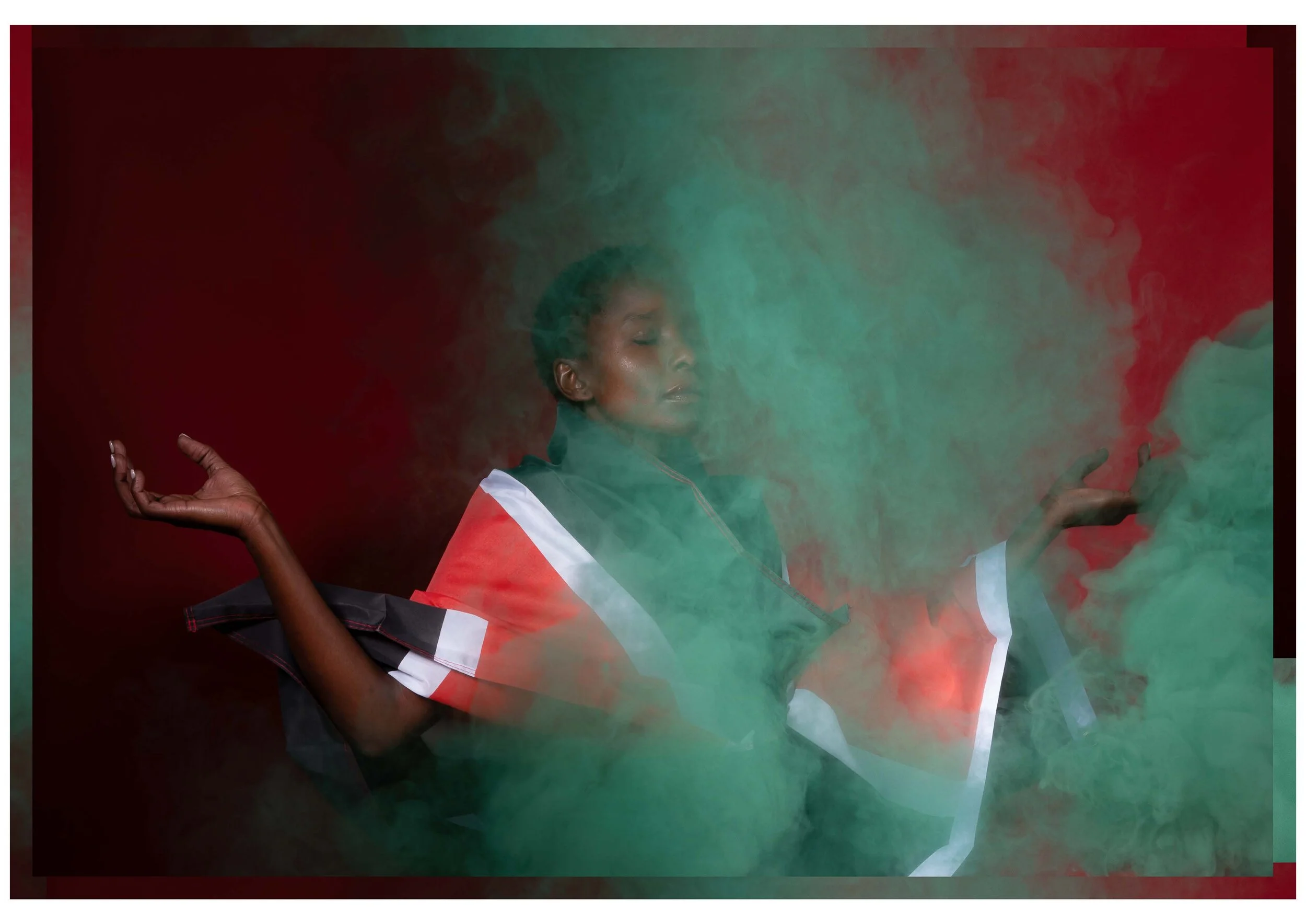 Michelle Eistrup, BeLONGING Vexillum (2016). 6 x indrammede farvefotografier, 74 x 109 cm. Med tilladelse fra kunstneren