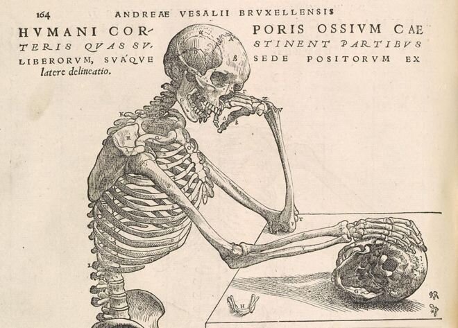 thinking skellyboi.jpg