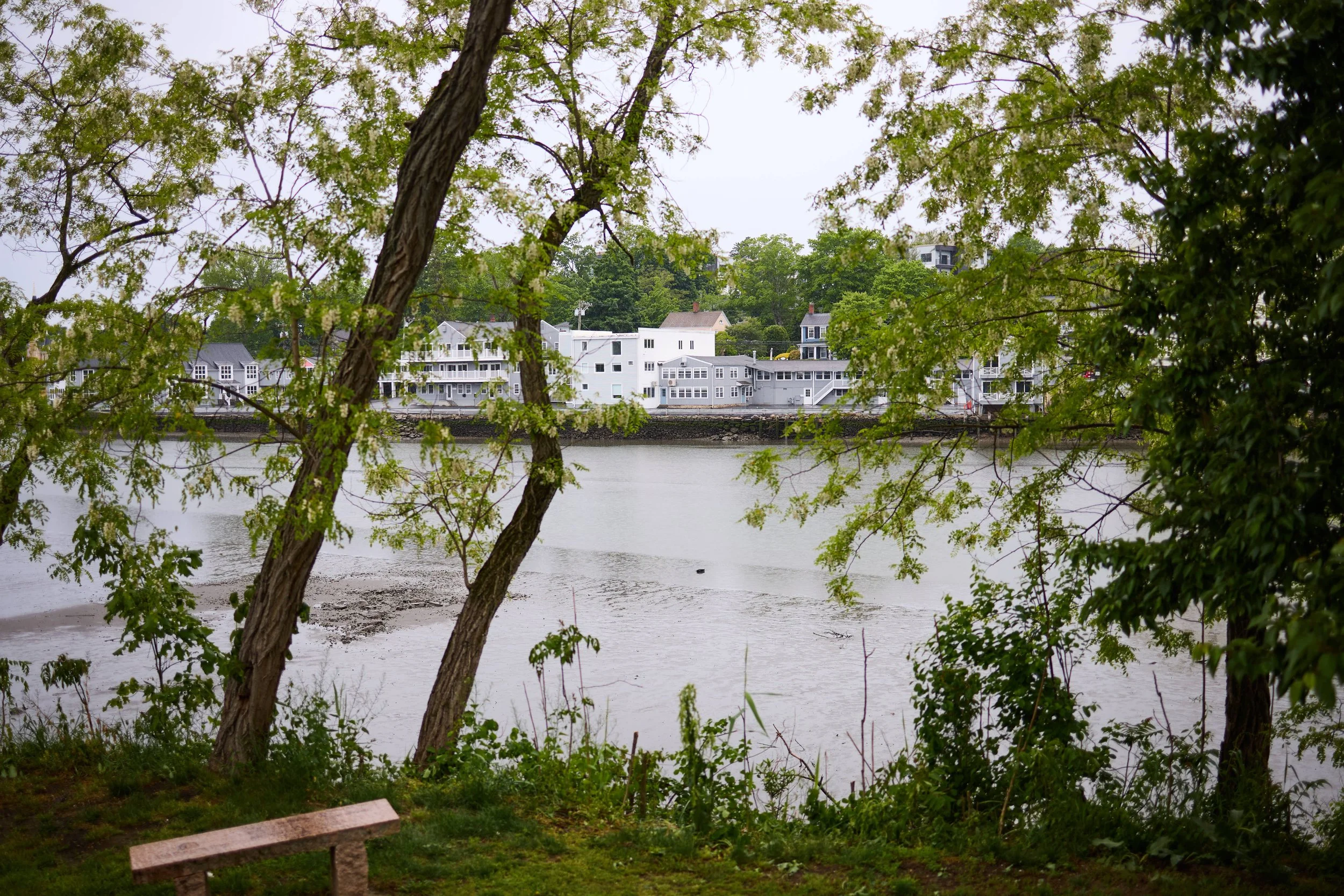 videlerphotography0095.jpg