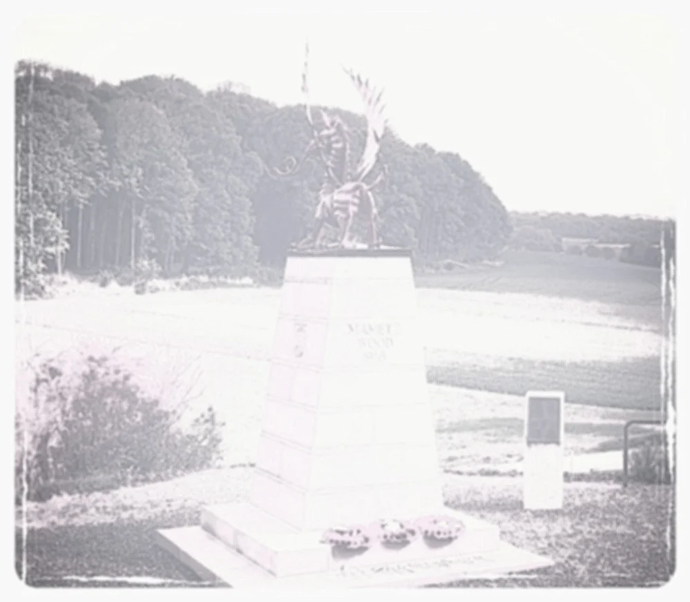 The memorial to the 38th (welsh) division at Mametz wood