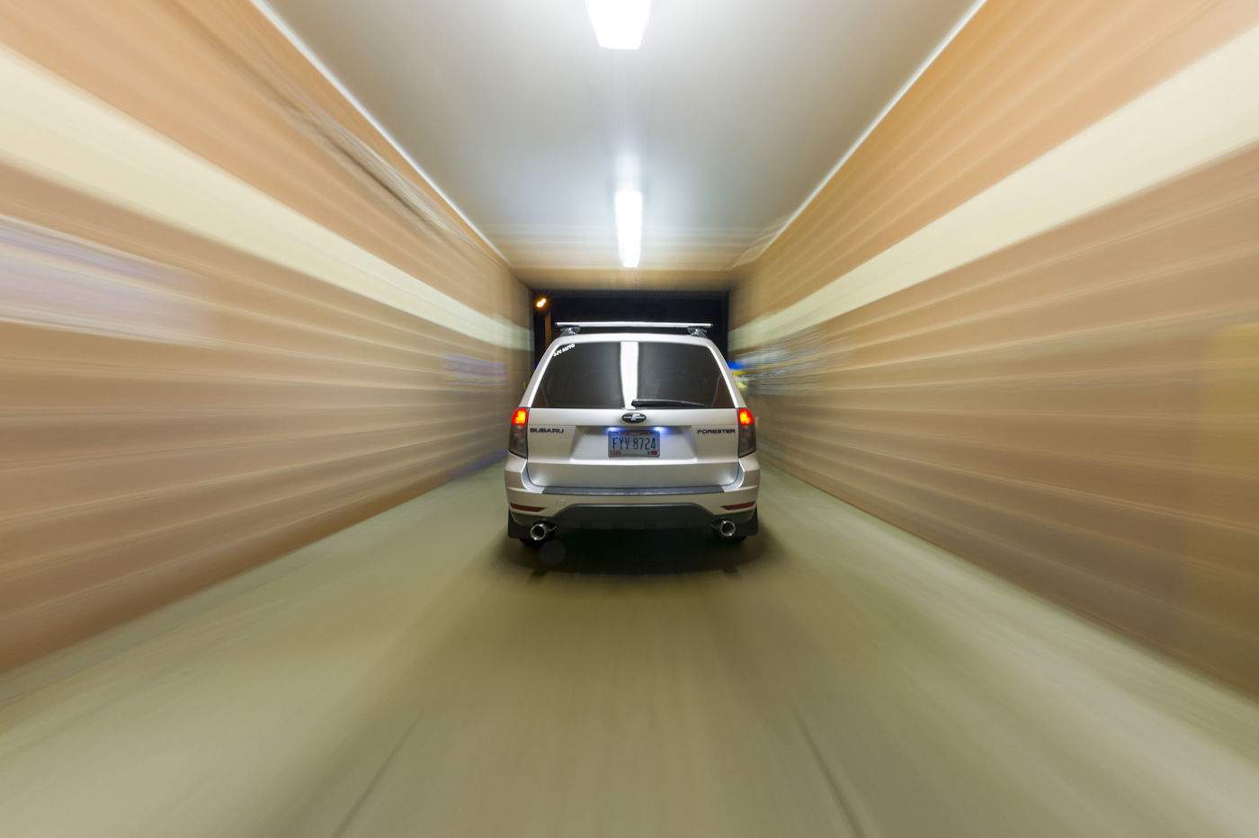 Forester2.jpg