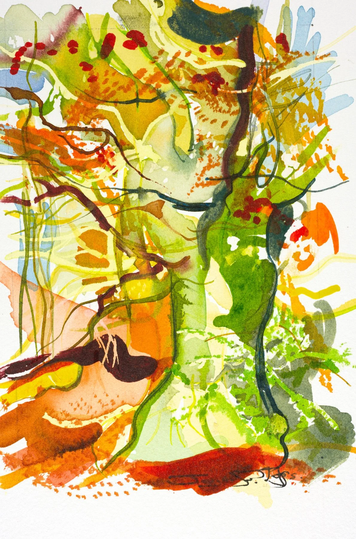 Autumn Beech