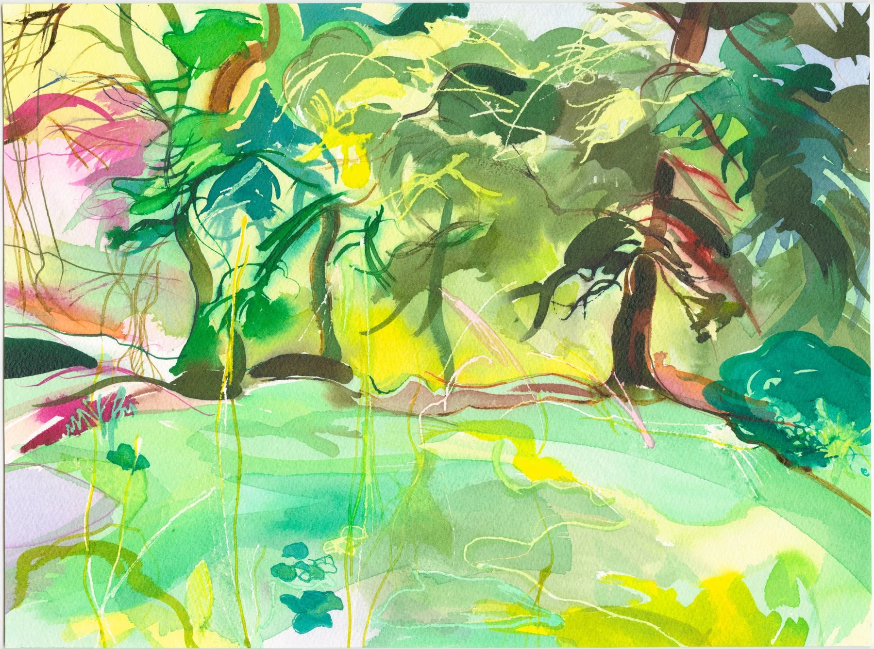 Beyond Juliet's Pond
