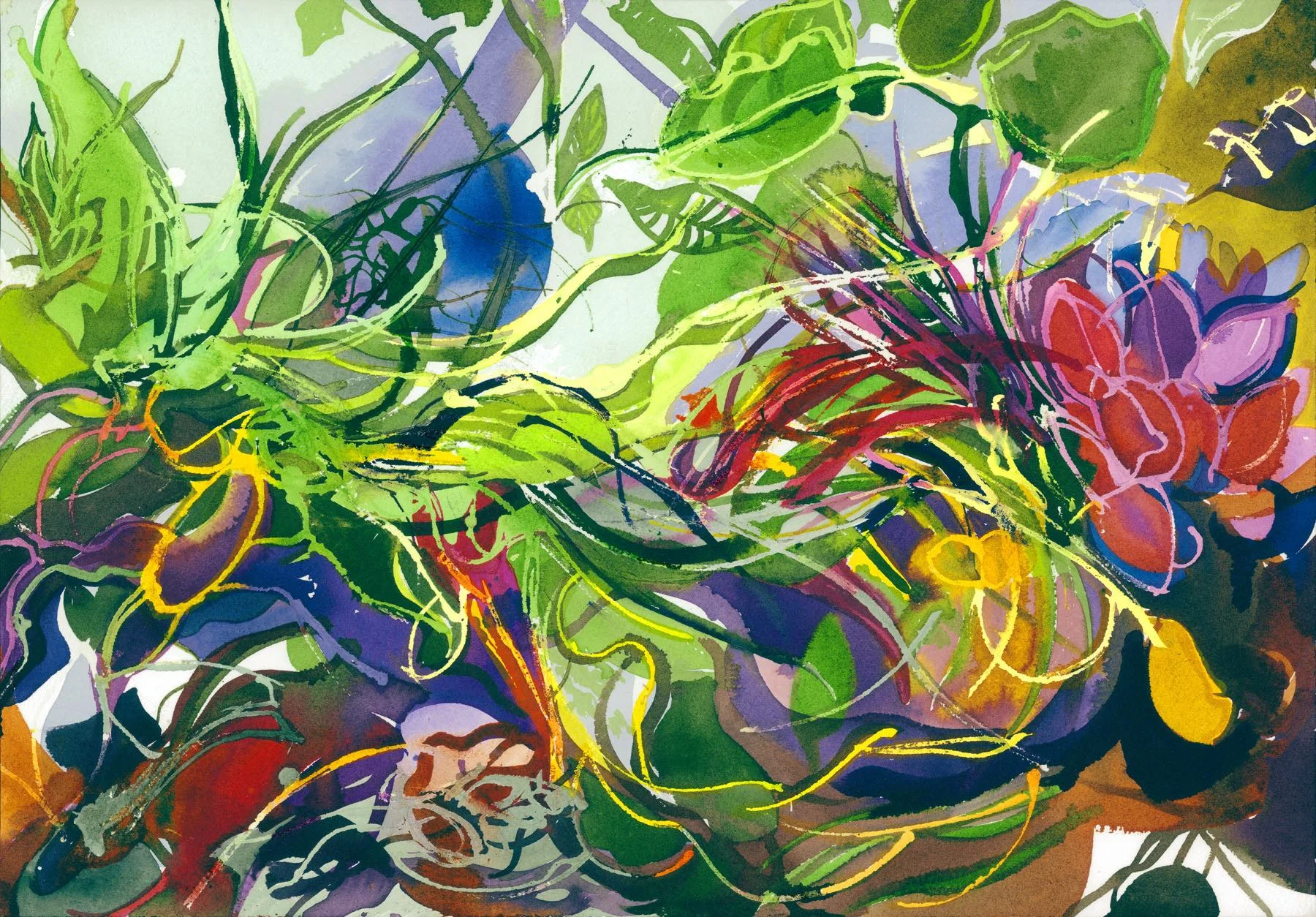 Dragons