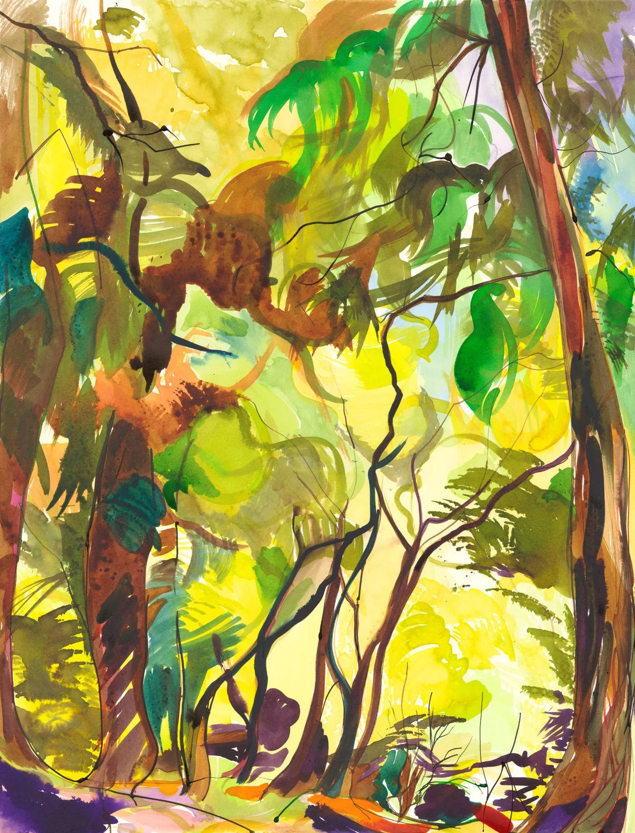 Oregon Woodland   67 x 52 cm