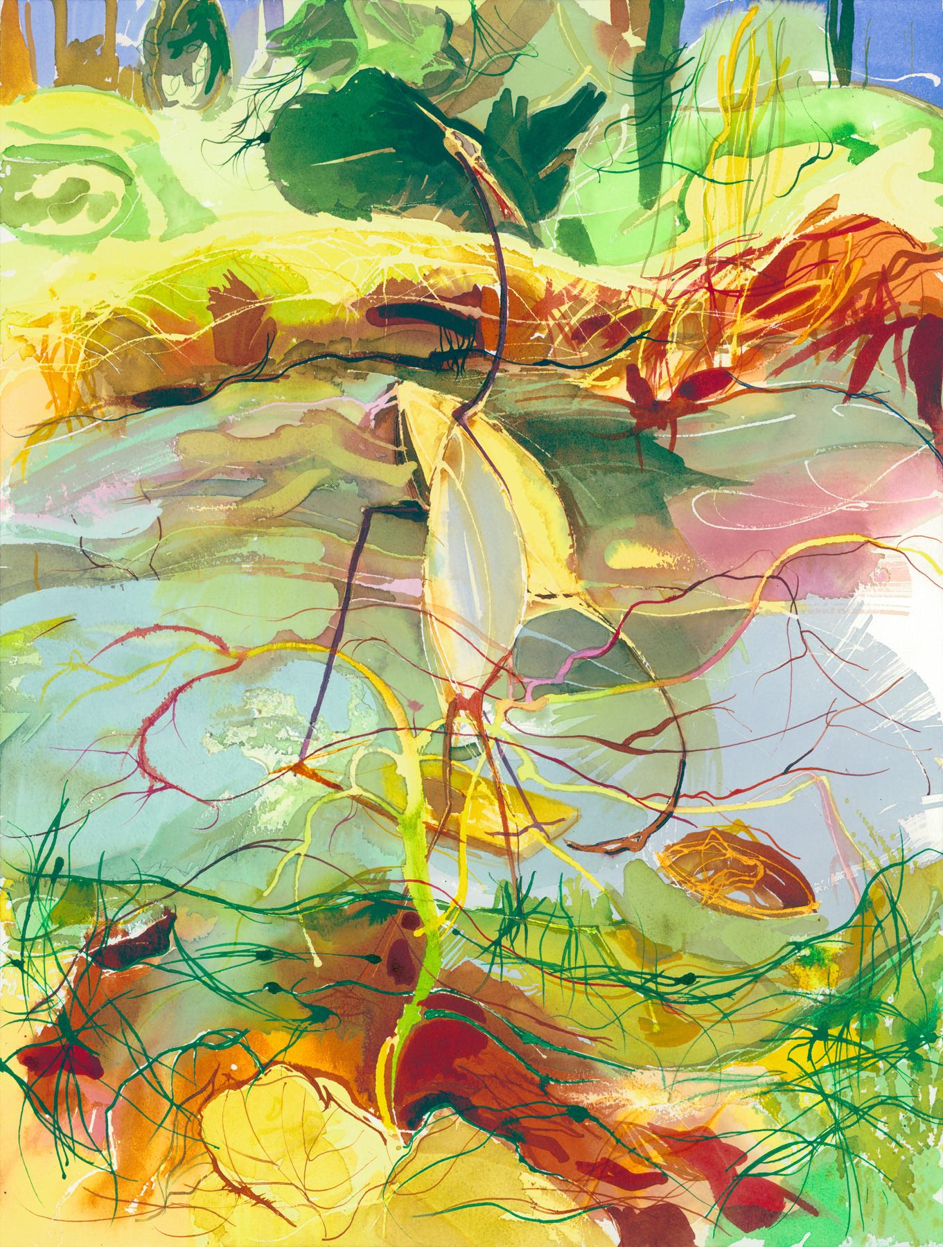 Red Acer No Leaves 61 x 46 cm £245