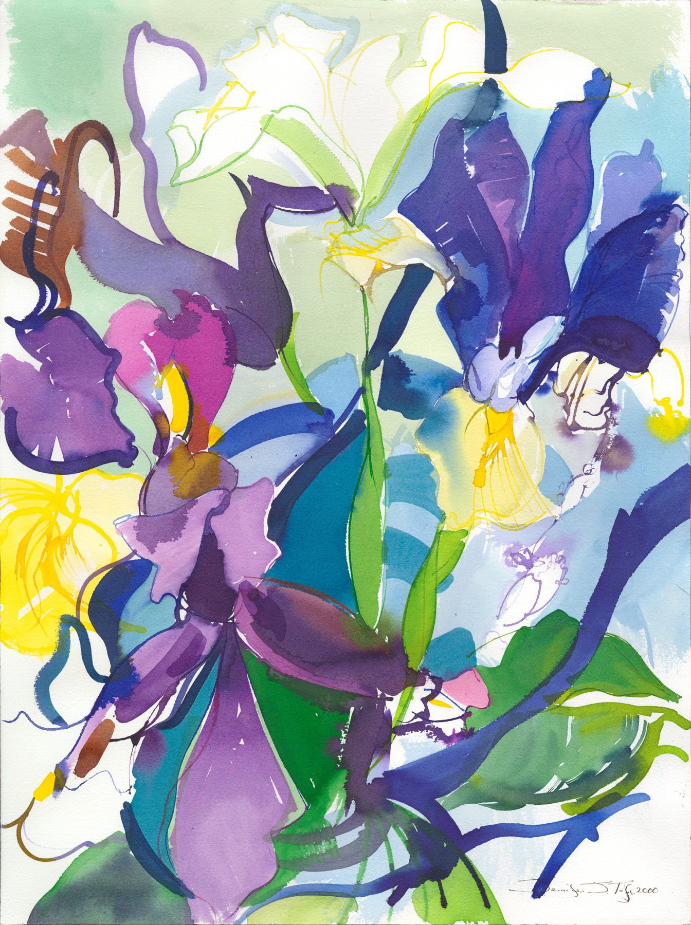 Interview with an Iris   60 x 45 cm