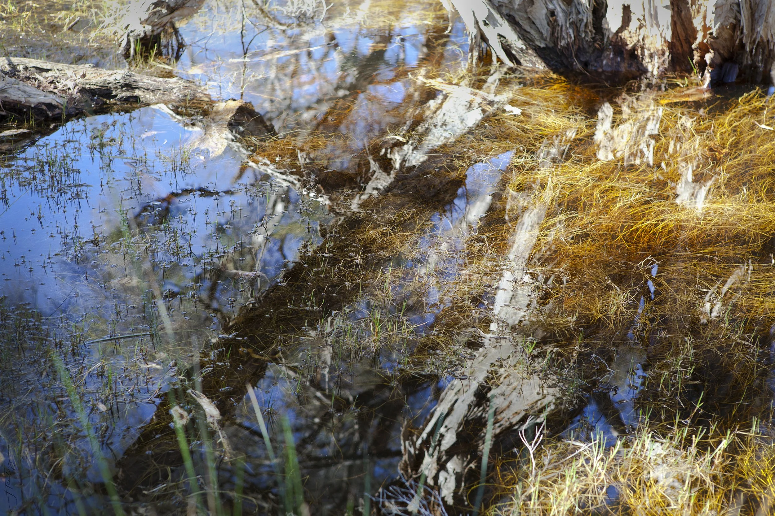 Depths of detail.jpg